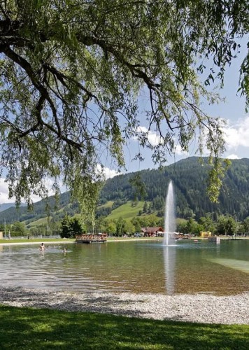 Hotel Garni Hubertus In Schladming Rohrmoos Urlaub Mit Hund Im